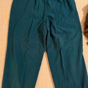 Ladies Chicos design teal pants size 2